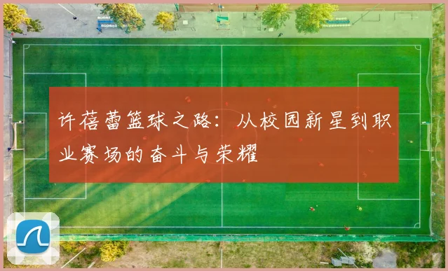许蓓蕾篮球之路：从校园新星到职业赛场的奋斗与荣耀