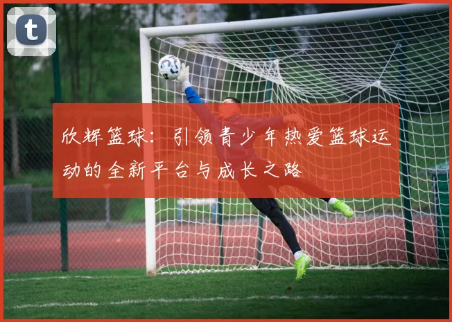 欣辉篮球：引领青少年热爱篮球运动的全新平台与成长之路