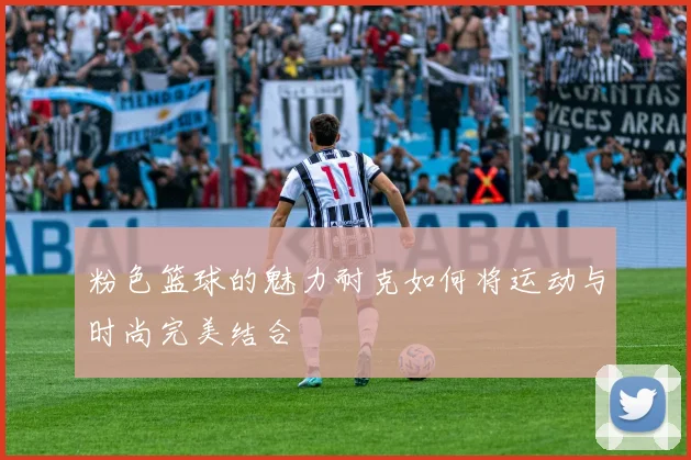 粉色篮球的魅力耐克如何将运动与时尚完美结合