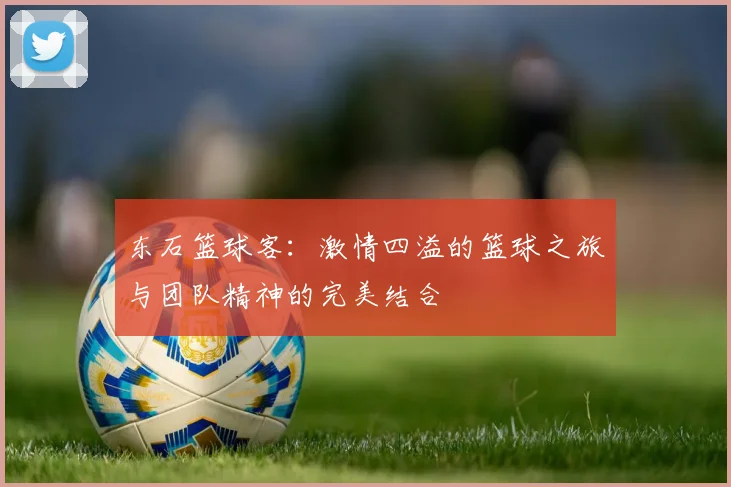 东石篮球客：激情四溢的篮球之旅与团队精神的完美结合