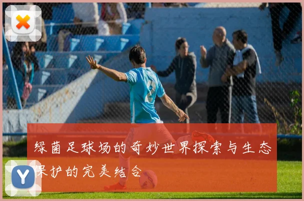 绿菌足球场的奇妙世界探索与生态保护的完美结合