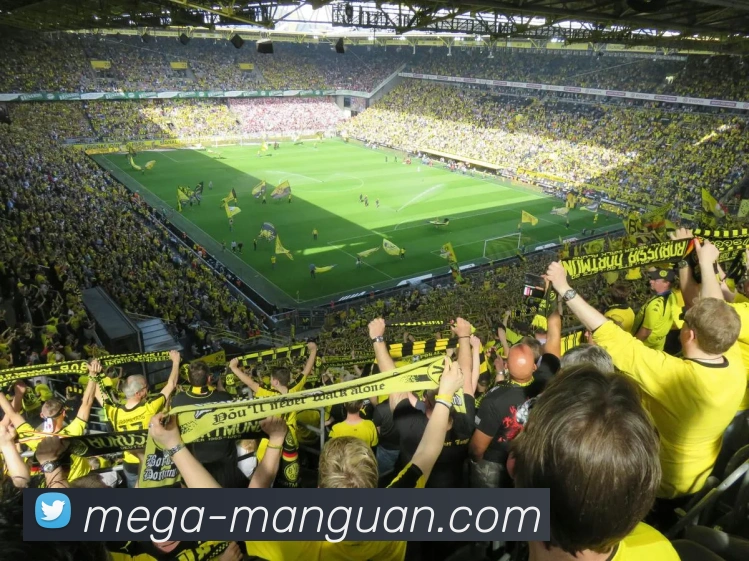 满贯体育APP 封面图